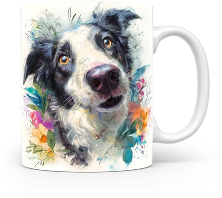 Beker Border Collie