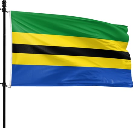 VlagDirect - Westerveld vlag - Gemeente Westerveld vlag - 90 x 150 cm.