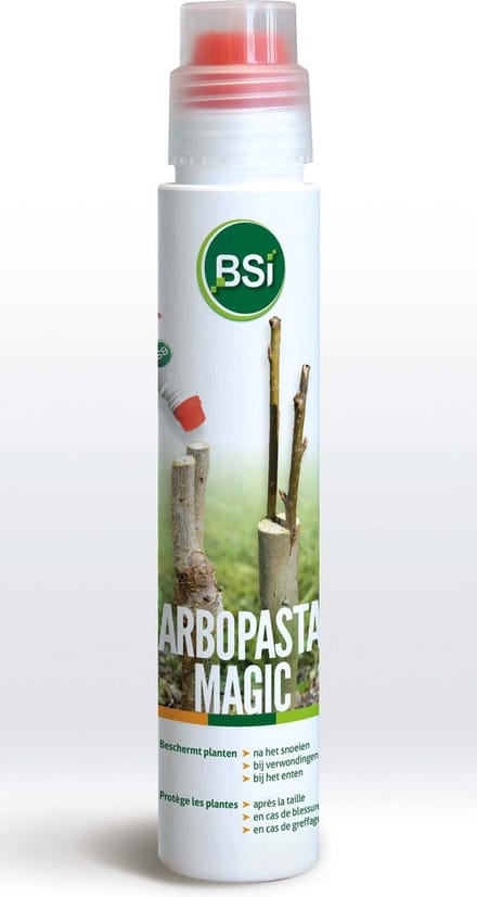 Bsi Wondafdekmiddel Arbopasta Magic 250 Gram Groen