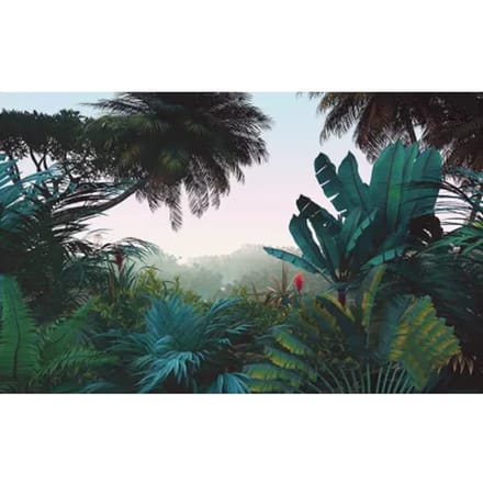 Fotobehang Jungle Morning - Meerkleurig - 2,50m X 400cm