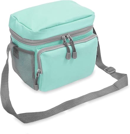 Koeler Lunchtas - Isolatie Tas - Verse Lunch - Compact Ontwerp - 21x15x18 cm