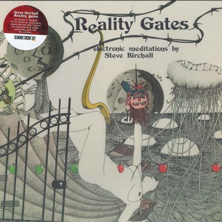 LP Plaat STEVE BIRCHALL - Reality Gates SV31 Soave 2023 Italië Dans & Electronica gray