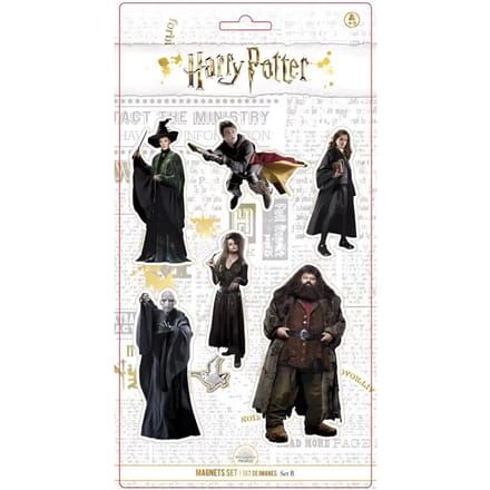 Harry Potter Characters set 6 magnets