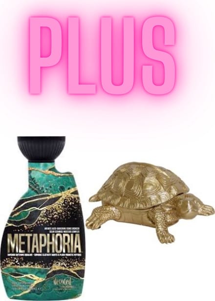 Devoted Creations Metaphoria 400 ml PLUS Gouden Schildpad Box 15,5 cm !
