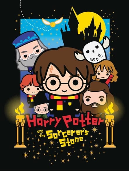 Harry Potter Canvas Schilderij  30 x 40 cm