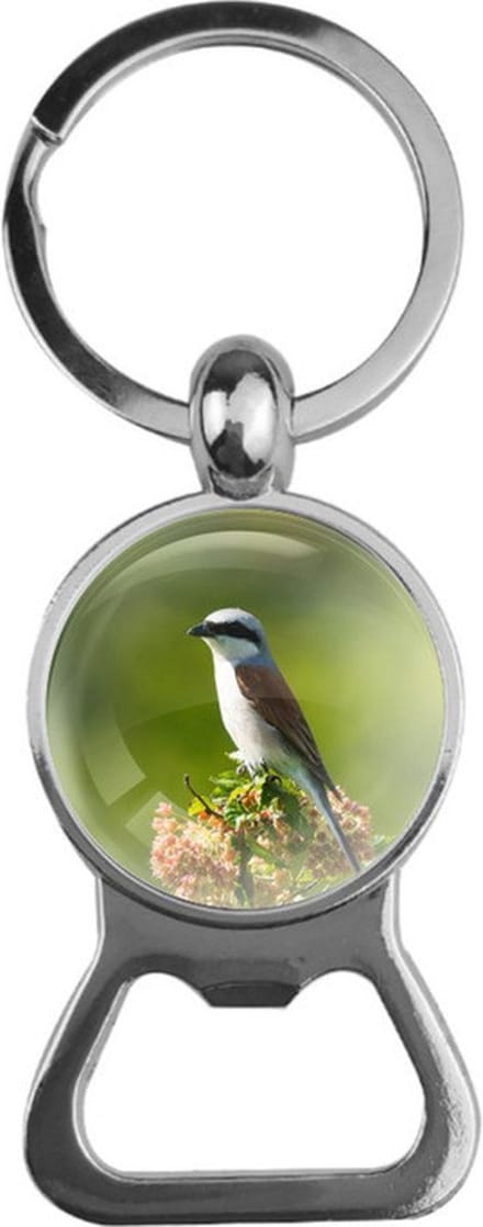 Bieropener Glas - Vogel