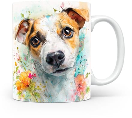 Beker Jack Russell Terriër