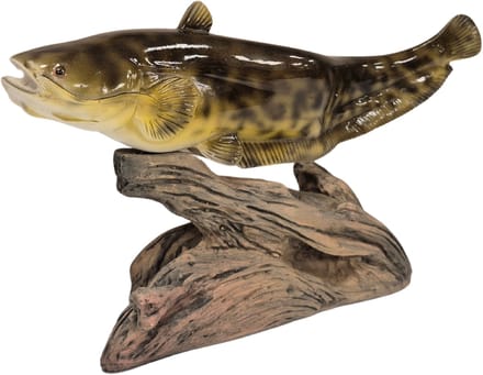 3D Real Fish Trophy Meerval 30 cm Levensecht Beeld Meervalbeeld Trofee Visbeker Sokkel Natuurlijk
