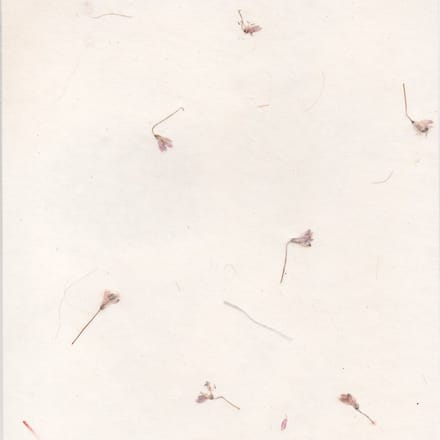 Set van 25 vel Tree-Free papier met bloemenmix, 90 grs