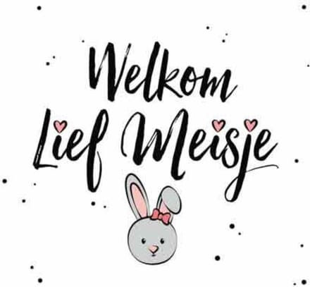 Wenskaart Geboorte - Welkom Lief Meisje - Met Envelop