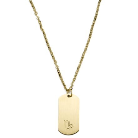 Goudkleurige Stalen Ketting met Sterrenbeeld Steenbok