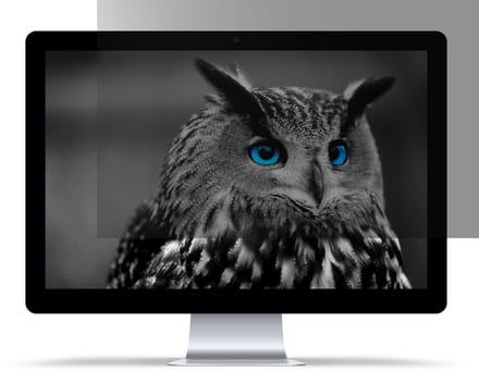 Natec OWL