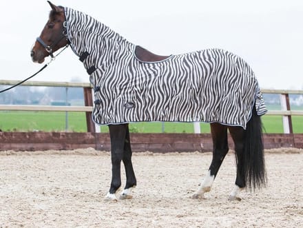Harry's Horse Vliegendeken mesh, hals en zadeluitsparing, zebra gray 175cm