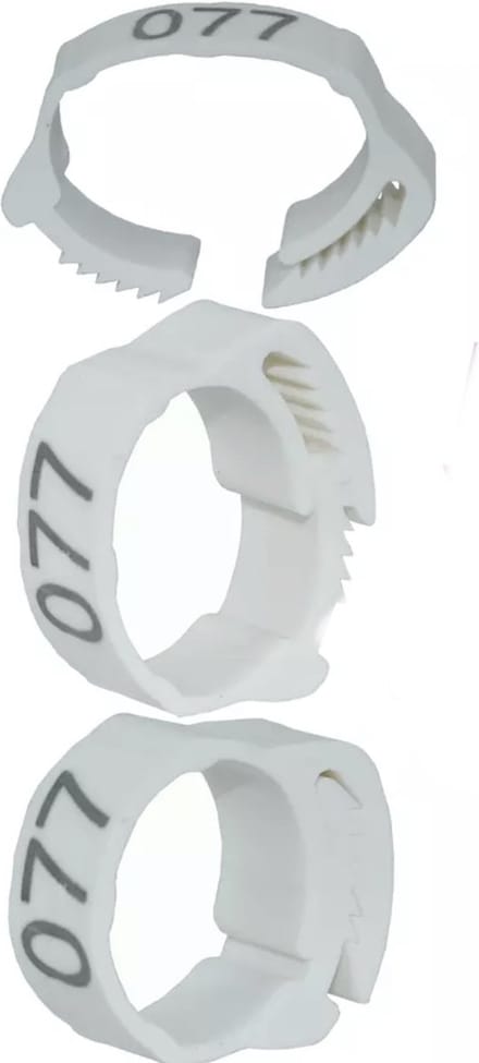 Pluimveeringen - verstelbaar - 20 mm - genummerd - 50 stuks - kippenringen - vogelringen - WIT