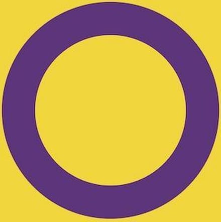 Vlag Intersekse 200x300cm
