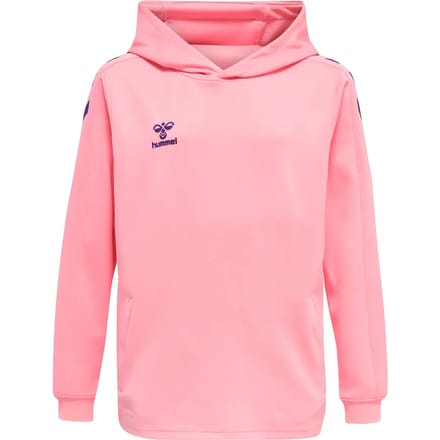 Sweater met capuchon voor kinderen Hummel hmlCORE XK