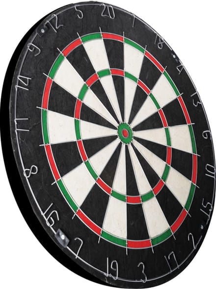 New sports dartbord