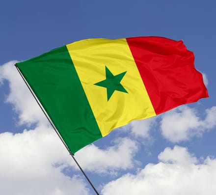 *** Grote Senegal Vlag 90x150cm - Vlag Senegal - van Heble® ***