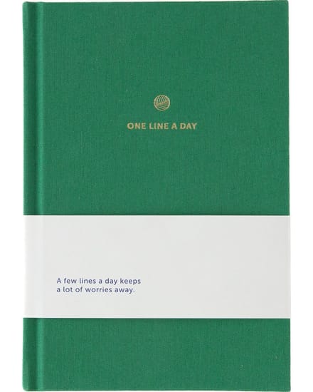 A-Journal - One Line a Day - Dagboek 5 jaar - Roze geruit