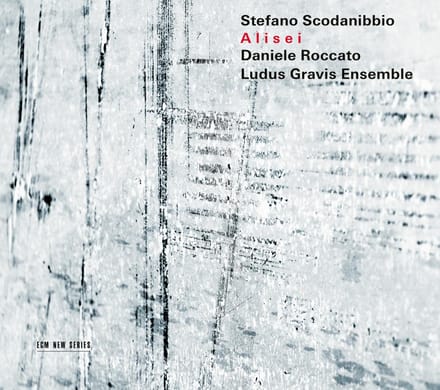 Daniele Roccato & Ludus Gravis Ensemble - Scodanibbio: Alisei (CD)