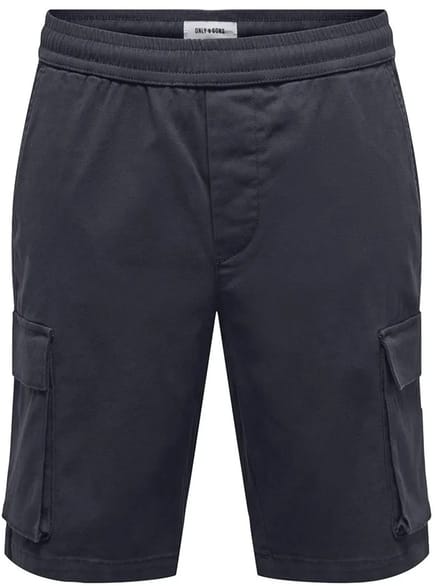 Only & Sons Cam Life Linus Cargo Shorts Blauw S Man