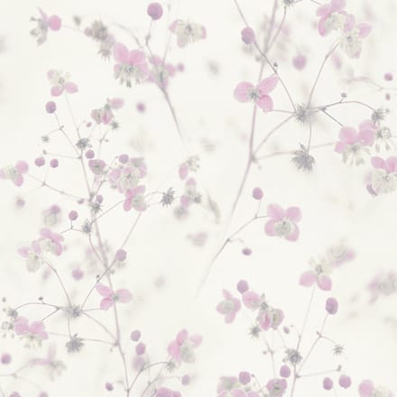 COTTAGE BLOEMETJES BEHANG | Tropisch - roze wit grijs - A.S. Création PintWalls II