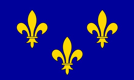 Vlag île-de-France 100x150cm
