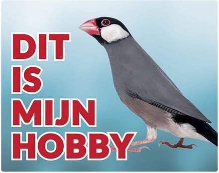 Rijstvogel Waakbord - Dit is mijn hobby