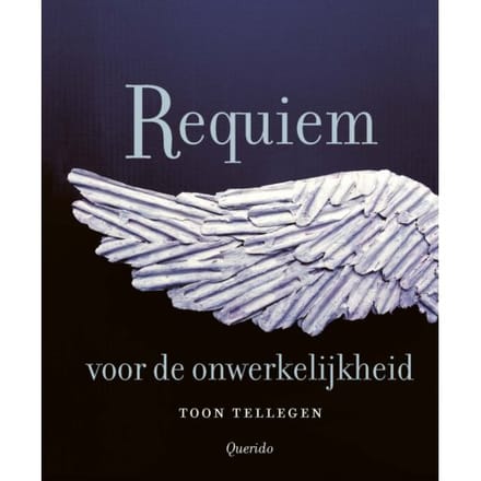 Requiem Voor De Onwerkelijkheid - Toon Tellegen