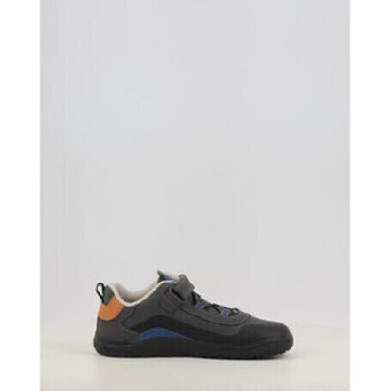 Lage Sneakers Primigi Pyr Gtx