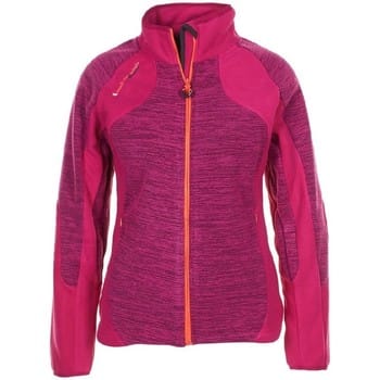 Fleece Jack Peak Mountain Blouson polaire femme ACUT