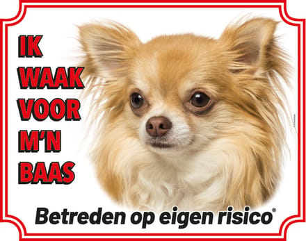Chihuahua Langhaar Blond Waakbord