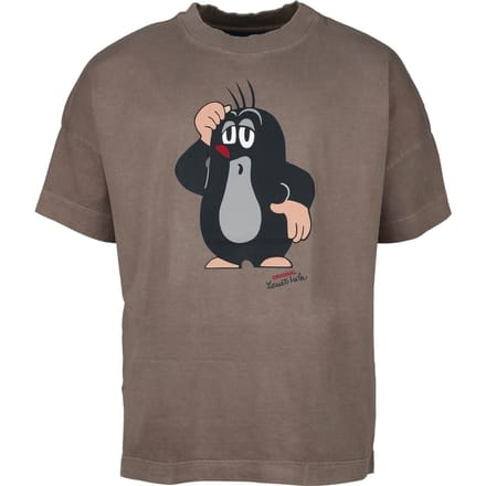Het Molletje Oversized T-shirt - Het molletje - Oversized - M tot L - voor Mannen - meerkleurig