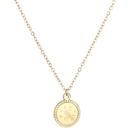 Bijoutheek Ketting Capricon - Steenbok Goud
