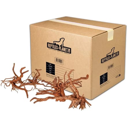 Spinnenwortel aquariumdecoratie M Reptiles Planet