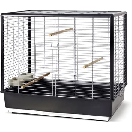 vogel Noah Knock Down zwart 80x50x70