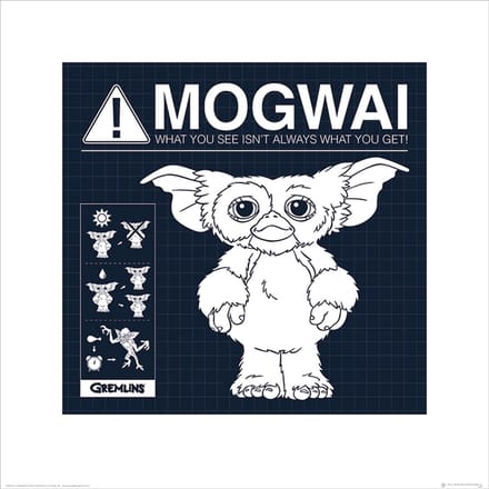 Gremlins Mogwai Rules Art Print 40x40cm | Poster