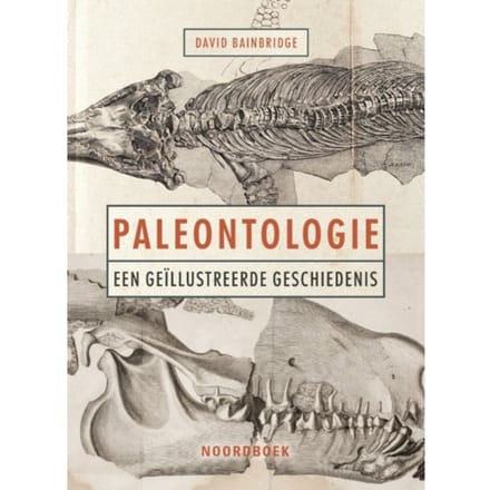 Paleontologie - David Bainbridge