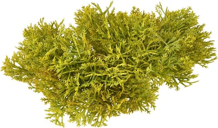 Decoratief mos kunstgroen bruin – moskussen 10/12/14cm 3 stuks, 3 Stüc