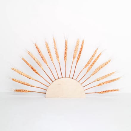 By woom/ sunholder/droogbloemen houder