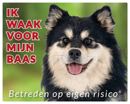 Finse Lappenhond Waakbord