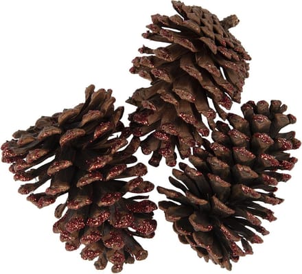 Clayre & Eef Decoratie Dennenappel Set van 3 8/10 cm Bruin Hout