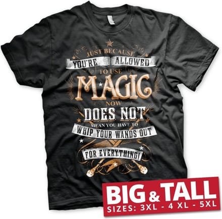 Harry Potter Magic Big & Tall T-shirt Zwart