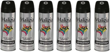 6 x Deodorant Spray voor Mannen - Langdurige Frisheid 125 ml