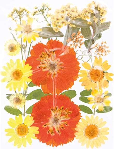 Geperste droogbloemen - Artemio