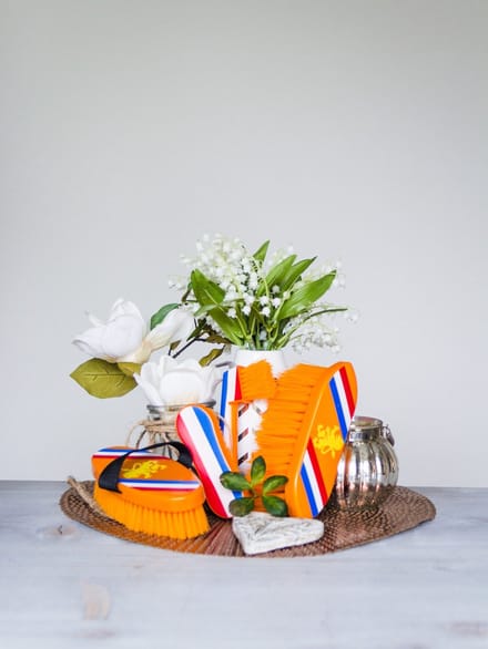 HB luxe Borstelset van 4 - Holland