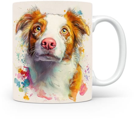 Beker Border Collie