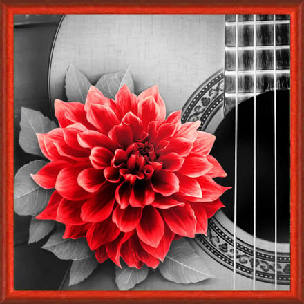 Diamond Painting Flower and Guitar AZ-1772