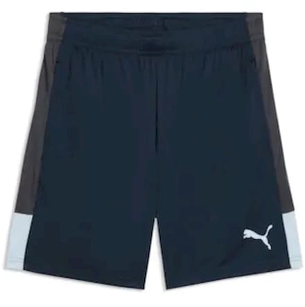 PUMA - Individualliga Training Shorts - Voetbalbroek heren - Blauw