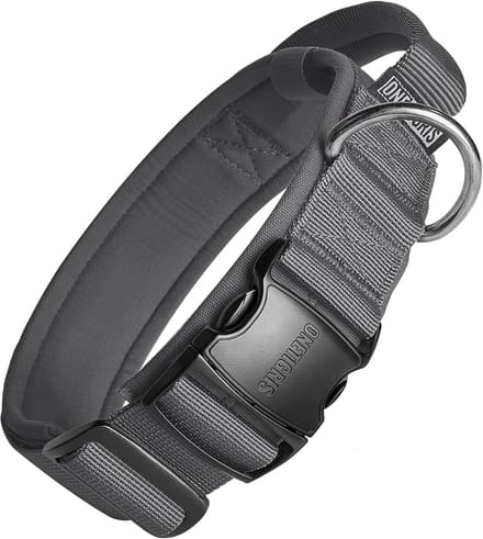 Hondenhalsband Met Metalen Gesp - Zwart - Maat M